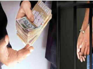 नागपूर येथे वाठोडा पोलीस ठाण्यातील लाचखोर महिला उपनिरीक्षक कह्यात !