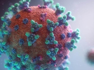 Corona Virus : कोरोनाच्या नवीन प्रकारच्या विषाणूवर लसीकरणाचा परिणाम नाही !