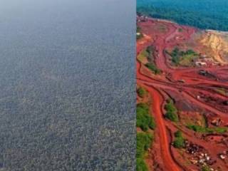 Gadchiroli Trees Cuttiing : गडचिरोली येथे १ लाख वृक्ष तोडण्यात येणार, आदिवासींचा विरोध !