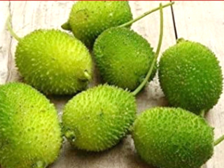 ‘आजीची भाजी रानभाजी’