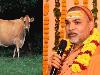 महाराष्ट्र शासनाने १ मासात गोमातेविषयीची आचारसंहिता घोषित करावी ! – Swami Avimukteshwaranand