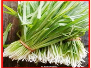 फोडशी