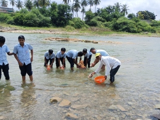 येरळा नदीपात्राबाहेर आलेल्या श्री गणेशमूर्तींचे पुन्हा नदीत केले विसर्जन !