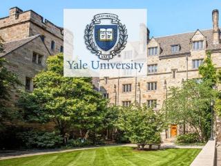 Yale University USA : आयात शुल्कवाढीच्या निर्णयानंतर अमेरिकेत तब्बल ९ लाख लोक गरीब होतील !