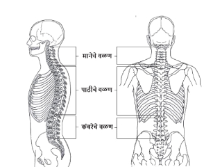 झोपतांना शरिराची योग्य स्थिती, गादी, उशी, पलंग आणि झोपण्याच्या सवयी यांचा अभ्यास अन् झोपण्याच्या अयोग्य पद्धतींवरील उपाय !
