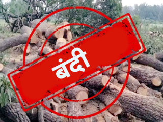 दोडामार्ग आणि सावंतवाडी तालुक्यांतील  एकूण १३ गावांमध्ये वृक्षतोड करण्यास बंदी