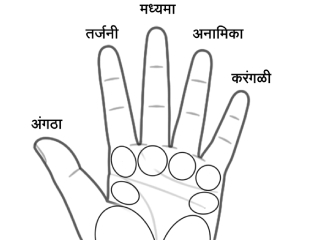 तळहातावरील काही भागांचा रंग लालसर, पांढरा किंवा गुलाबी असणे, हे कशाचे दर्शक आहे ?