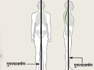 ‘अर्गोनॉमिक्स’चे महत्त्व !