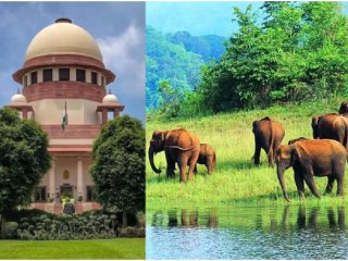 Supreme Court On Mining : राष्ट्रीय उद्याने आणि अभयारण्ये यांच्या १ कि.मी. परिसरात खाणकामास बंदी ! – सर्वोच्च न्यायालयाचा आदेश