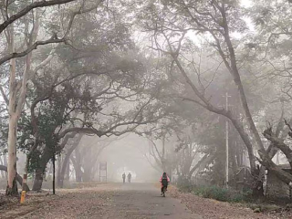 थंडीच्या दिवसांत सर्वसामान्य व्यक्तीने आरोग्य चांगले रहाण्याच्या अनुषंगाने खाण्या-पिण्याविषयी पाळावयाचे नियम !