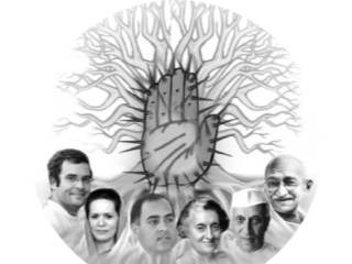 सद्यःस्थितीत काँग्रेस संकटात, तर रेहान वाड्रा यांना आणण्याचे आवाहन जोरात !