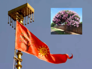 कोविदार वृक्ष आणि आयुर्वेद !