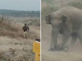 Jharkhand  Elephant Attack : झारखंडमध्ये हत्तींच्या कळपाच्या आक्रमणात ५ जणांचा मृत्यू
