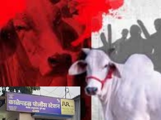 गोरक्षकांवर जिहाद्यांनी केलेल्या आक्रमणाविरोधात काळेपडळ (पुणे) येथे पोलिसांना निवेदन