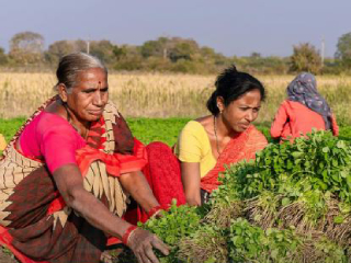 महिला शेतकर्‍यांसाठी २३ जानेवारीला मुंबईत चर्चासत्र !