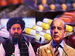 Pakistan Medicines Ban : अफगाणिस्तानने पाकिस्तानकडून आयात होणार्‍या औषधांवर घातली बंदी