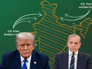 US Map Diplomacy : पाकव्याप्त काश्मीरला भारताचा भाग दाखवलेला नकाशा अमेरिकेने हटवला !