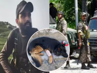 Kishtwar Encounter : किश्तवाड (जम्मू-काश्मीर) येथे चकमकीत ‘जैश-ए-महंमद’चा कमांडर ठार !