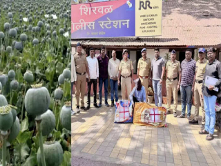 सातारा येथे अफूची शेती करणार्‍याला अटक !