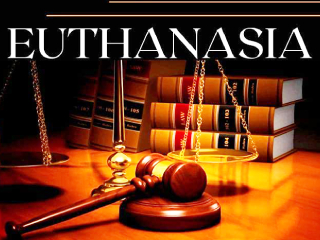 Euthanasia Request : मुंबईत इच्छामरणासाठी ८५ अर्ज !