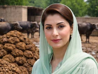 Pakistan Gobar Tax : पाकिस्तानमध्ये ‘गोबर कर’ लावण्याचा निर्णय : शेतकर्‍यांवर भार वाढणार