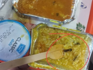 Vande Bharat Meal : ‘वन्दे भारत’ एक्सप्रेसमध्ये २ प्रवाशांच्या जेवणात झुरळ आढळले !