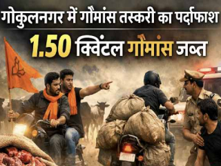 वणी (जिल्हा यवतमाळ) येथे ३ धर्मांधांवर गोमांस विक्री-तस्करी प्रकरणी गुन्हे नोंद  