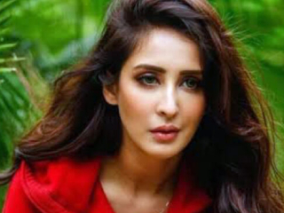 Chahatt Khanna Gharvapsi : सर्व प्रकारचा छळ आणि हानी यानंतर अभिनेत्री चाहत खन्ना यांचा हिंदु धर्मात पुनर्प्रवेश !