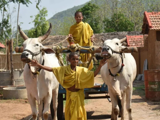 Vedic Village : इंटरनेट आणि वीज यांखेरीज जगणारे वैदिक गाव : आंध्रप्रदेशातील कूर्मग्राम !