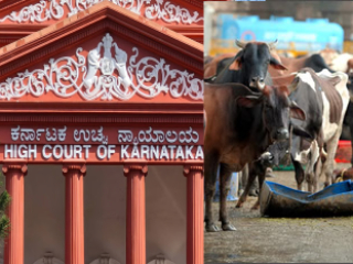 बेपत्ता गायी शोधण्यासारख्या कामात वेळ घालवण्यापेक्षा गंभीर गुन्ह्यांचे अन्वेषण करा ! – Karnataka High Court