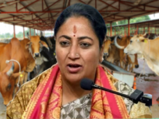 देहली शासन मोकाट गायींसाठी गोशाळा बांधणार !