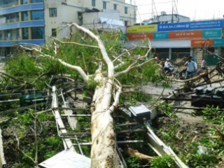 उत्तरप्रदेश, बिहार आणि कर्नाटक राज्यांत वादळी पावसामुळे ३२ जणांचा मृत्यू !