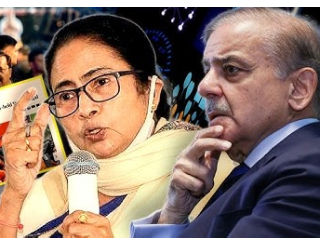   Pakistan On Mamata Banerjee : ममता बॅनर्जी यांच्या निवासस्थानावर भारतीय सैन्याने आक्रमण केल्याचा पाकिस्तानचा दुष्प्रचार