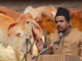 गायीला राष्ट्रीय प्राणी घोषित करा, देशभरात गायींच्या हत्येवर बंदी घाला !