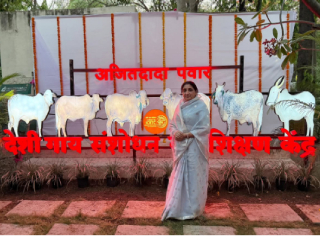‘अजितदादा पवार देशी गाय संशोधन आणि प्रशिक्षण केंद्रा’स ७२ कोटी रुपयांचा निधी !