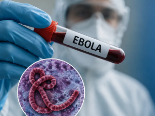 Ebola Outbreak : ‘इबोला’ रोगाचा जगभरात उद्रेक, भारत सरकारनेही दिल्या मार्गदर्शक सूचना !