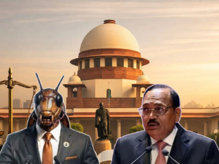 ‘कॉकरोच जनता पार्टी’ विषयाकडे भावूक होऊन पाहू नका ! – CJI Surya Kant