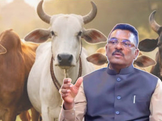 गोमातेची तस्करी आणि कत्तल खपवून घेणार नाही ! – Pratap Sarnaik