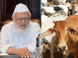 गायीला ‘राष्ट्रीय प्राणी’ घोषित करा ! – Maulana Arshad Madani