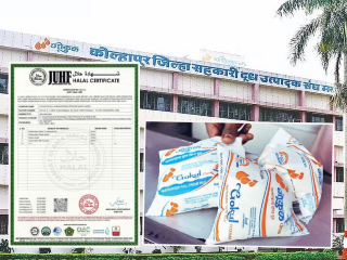 Gokul Milk Halal Certification : ‘गोकुळ’ दूध उत्पादन संघाच्या विविध उत्पादनांना ‘हलाल’ प्रमाणपत्र !