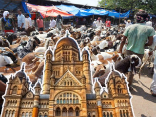 मुंबई महापालिकेकडून घाटकोपर येथील इमारतीत बकर्‍याचा बळी देण्याची अनुमती रहित !