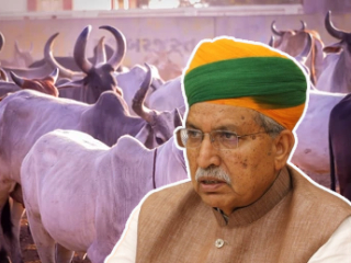Cow Slaughter Ban : राष्ट्रव्यापी गोहत्याबंदी करण्याचा कोणताही प्रस्ताव विचाराधीन नाही ! – केंद्र सरकार