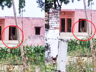 Bulandshahr Temple Namaz : बुलंदशहर (उत्तरप्रदेश) येथे हनुमान मंदिरात नमाजपठण करणार्‍या असर महंमद यास अटक !