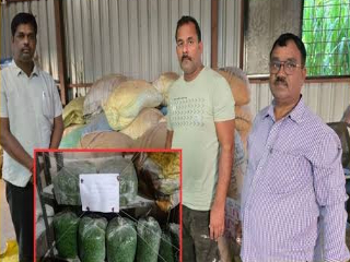  तळलेल्या वाटाण्यात कृत्रिम रंगाचा वापर होत असल्याने अन्न आणि औषध प्रशासनाची कारवाई !