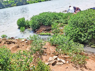 तीर्थक्षेत्र पैठण येथे ८ नाल्यांचे दुर्गंधीयुक्त आणि रसायनमिश्रित पाणी गोदावरी नदीपात्रात !