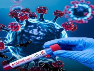 Nipah Outbreak : केरळमध्ये या वर्षी ‘निपाह’ विषाणूचा पहिला रुग्ण ‘व्हेंटिलेटर’वर !
