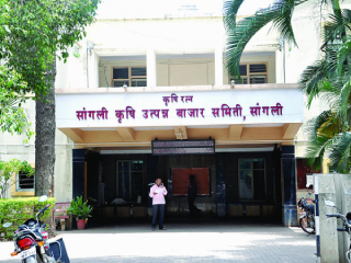 सांगलीसह राज्यातील १२ बाजार समित्यांना ‘राष्ट्रीय बाजारपेठे’चा दर्जा !