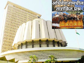 गोवंश तस्करी करतांना पकडलेल्या वाहनांचा तस्करीसाठी पुन्हा वापर !