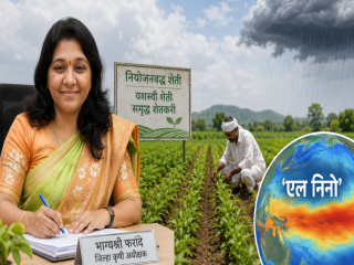‘एल निनो’च्या पार्श्वभूमीवर शेतकर्‍यांनी नियोजनबद्ध शेती करावी ! – भाग्यश्री फरांदे, जिल्हा कृषी अधीक्षक