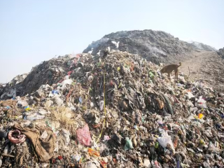 पनवेल येथील ७ गायींच्या मृत्यू प्रकरणाची उच्चस्तरीय चौकशी करणार ! –  उदय सामंत, उद्योगमंत्री